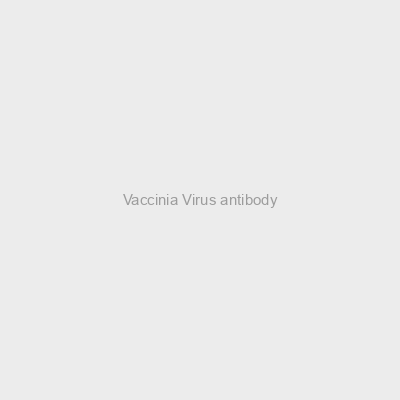Vaccinia Virus antibody
